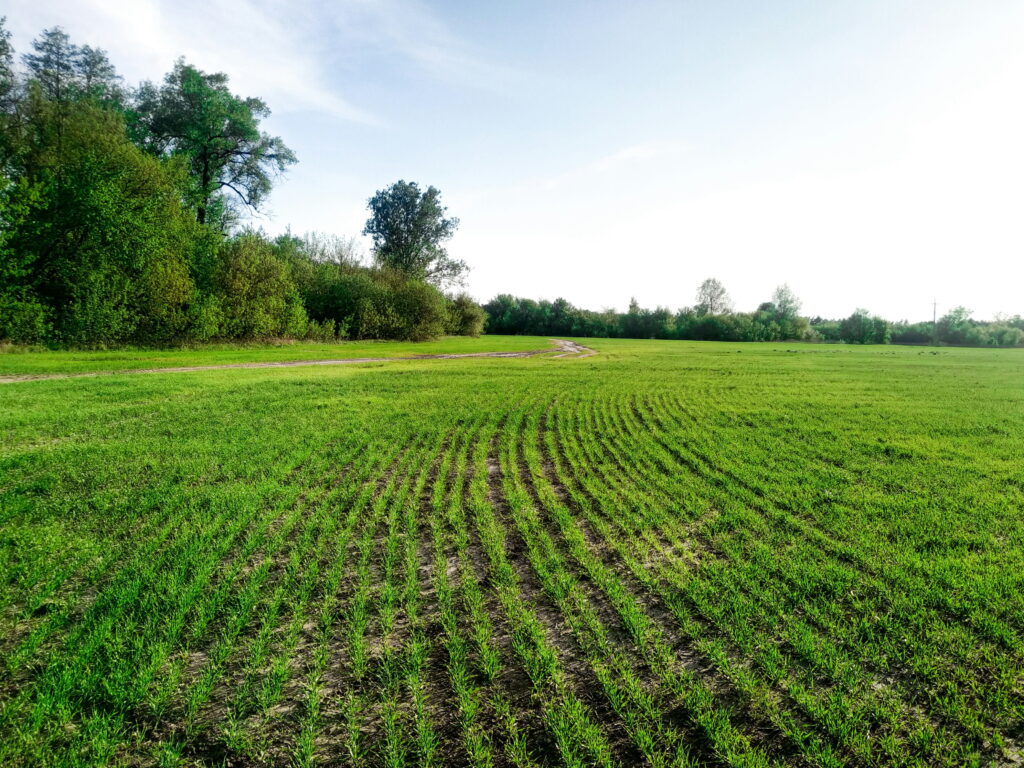 Crop Deficiency Treatments, Foliar Micronutrient for Crops, Fielder Nutrition