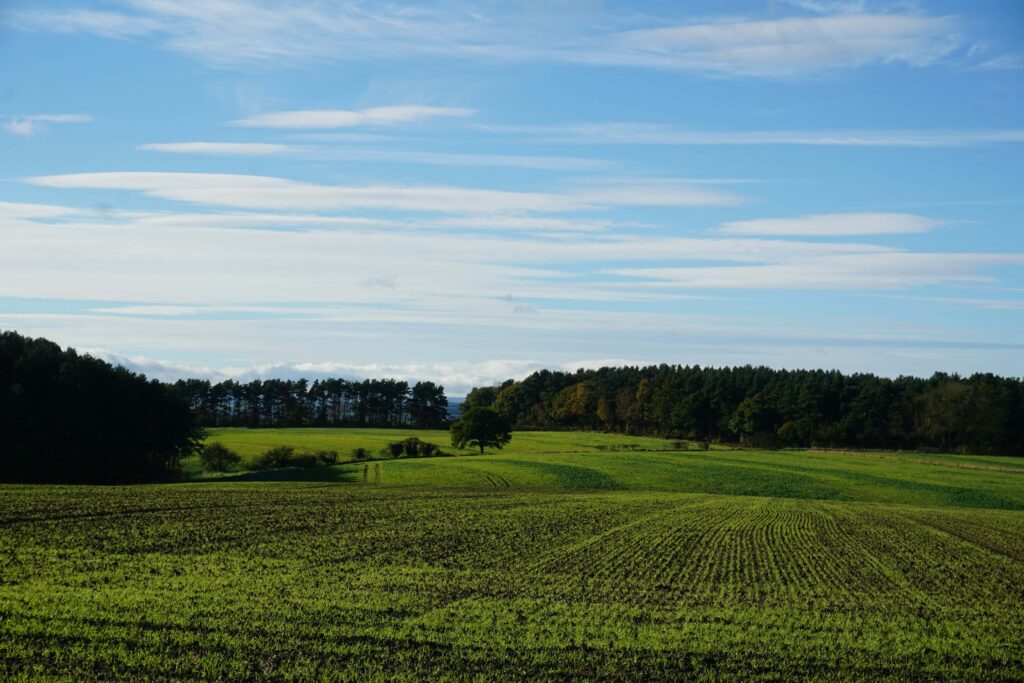 Biological Seed Treatment, Crop Seed Treatment, Fielder