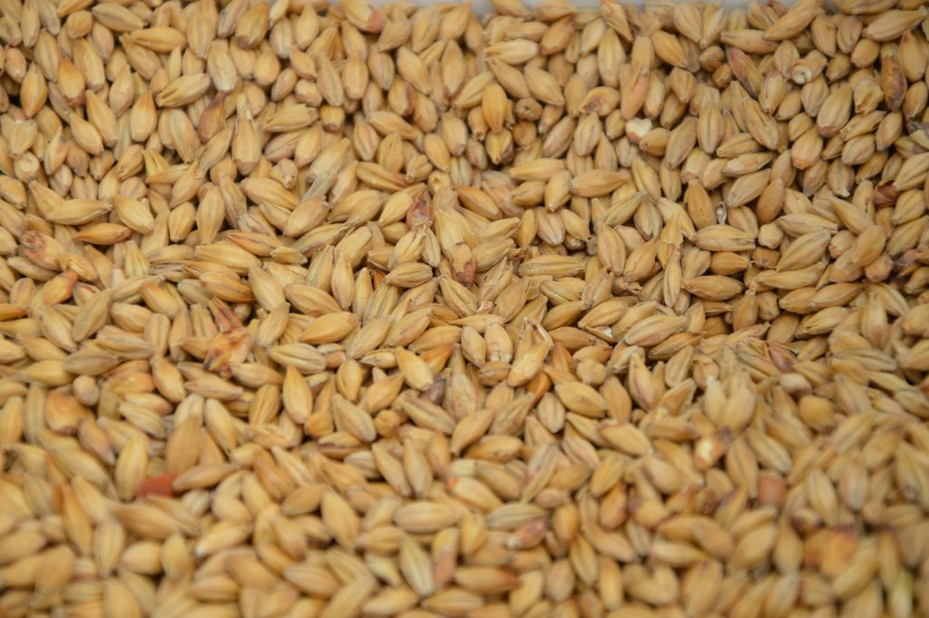 Autumn Crop Establishment, Winter Cereal Seed Treatment, Autumn Seed Treatment